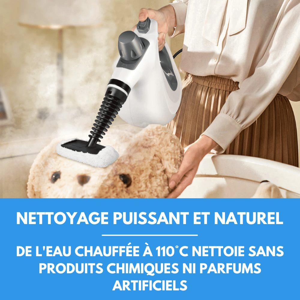 Nettoyeur à vapeur A80