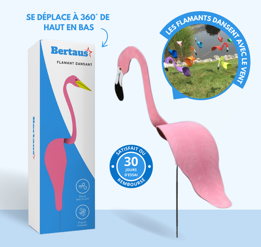 Flamant Dansant