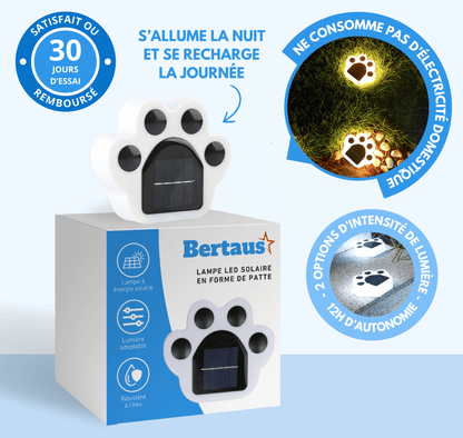 Lampe LED solaire en forme de patte