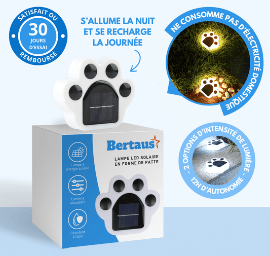 Lampe LED solaire en forme de patte