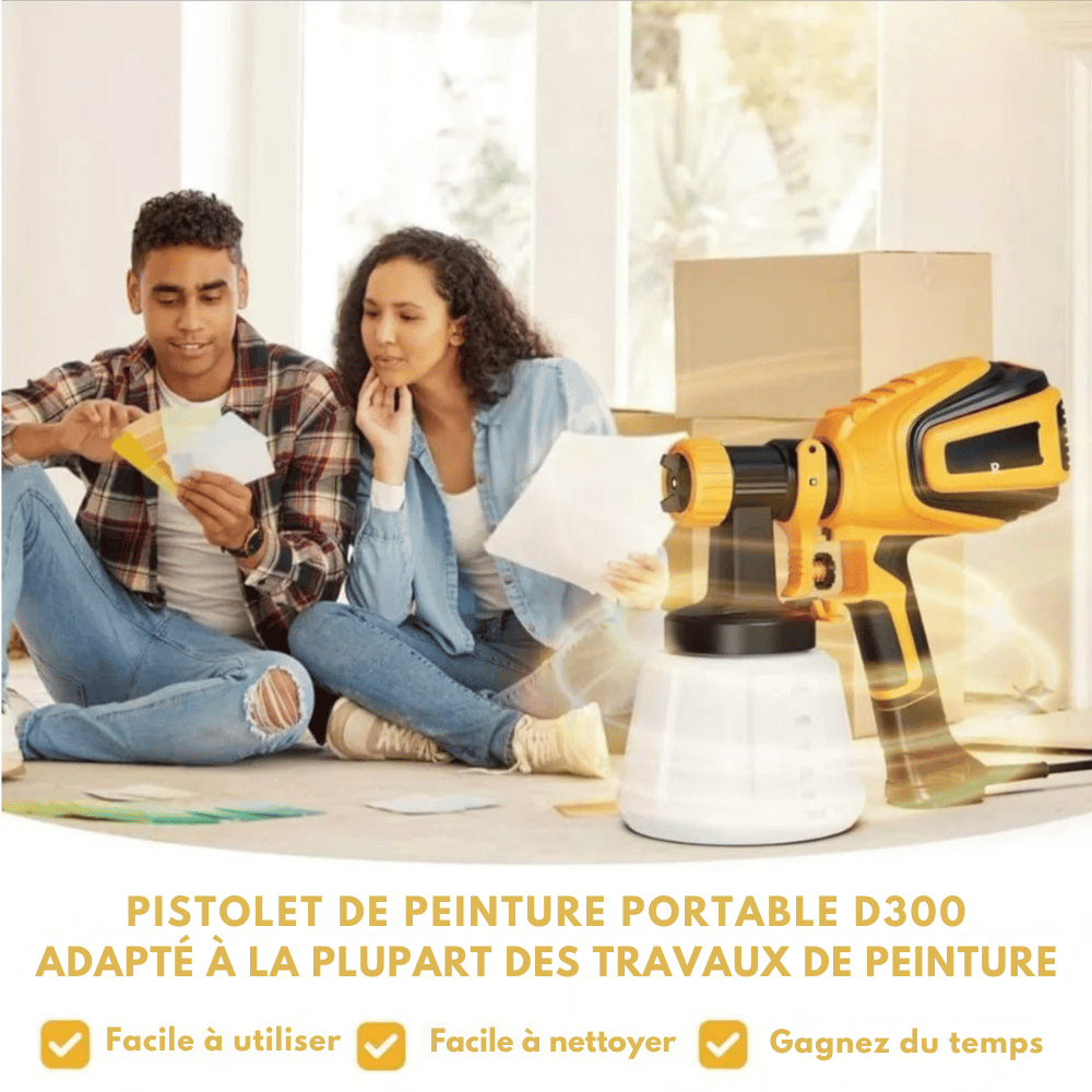 Pistolet à peinture D300