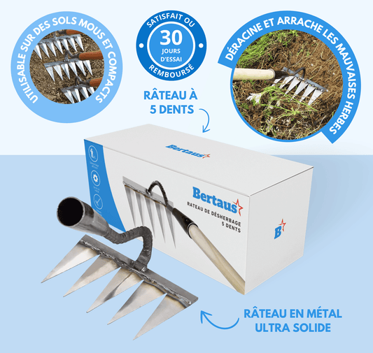 Râteau de Désherbage en Fer