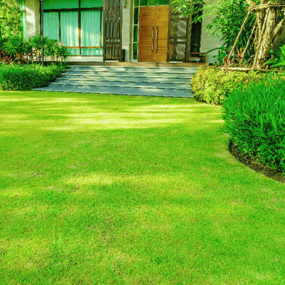 Pulvérisateur de semences PL9