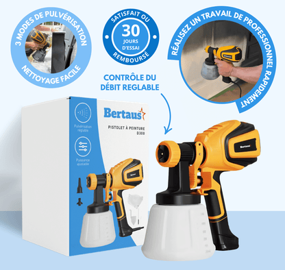 Pistolet à peinture D300